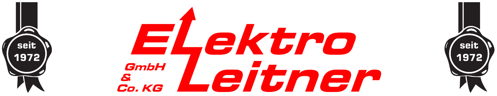 Elektro-Leintern GmbH & Co.KG